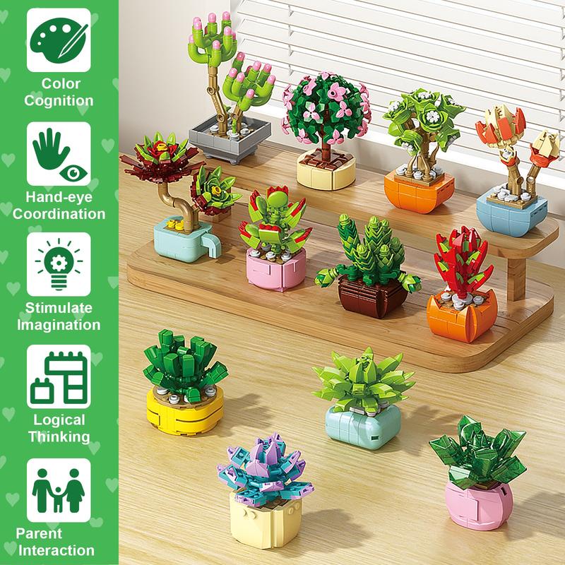 SuccuLove™ Buildable Valentine Kit