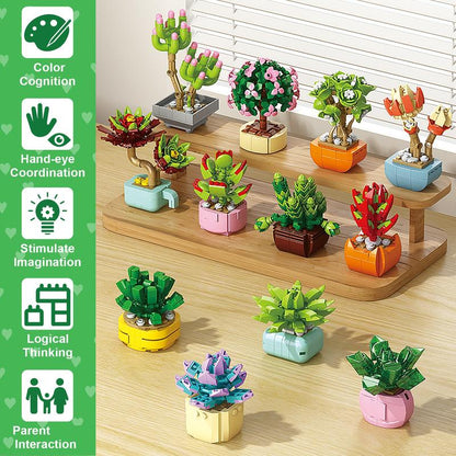 SuccuLove™ Buildable Valentine Kit