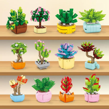 SuccuLove™ Buildable Valentine Kit